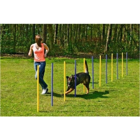 Beeztees Agility Slalom Set 12 Stuks