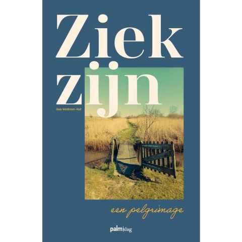 Ziek zijn, een pelgrimage (Paperback)
