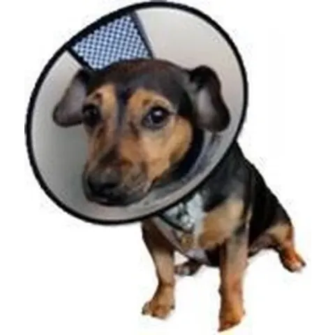 AA-Vet Easyfix-Collar - L