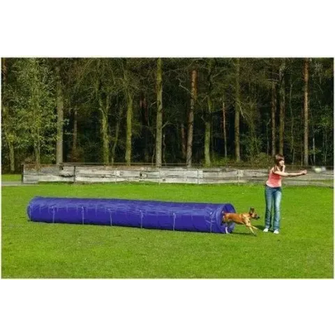 Agility Tunnel Large 525x60x60 cm