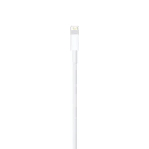 Apple Apple Lightning-naar-USB-kabel (05 m) - Nieuw) | Welhof