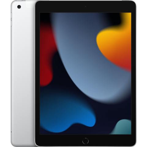 Apple iPad (2021) 10.2 inch 64GB Wifi + 4G Zilver
