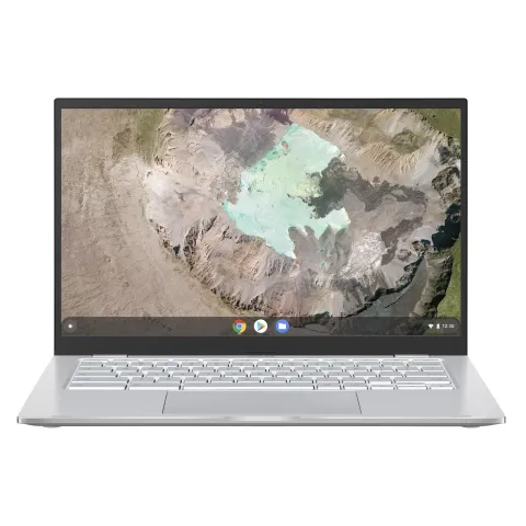 Asus Chromebook C425TA-H50334 -14 inch Chromebook