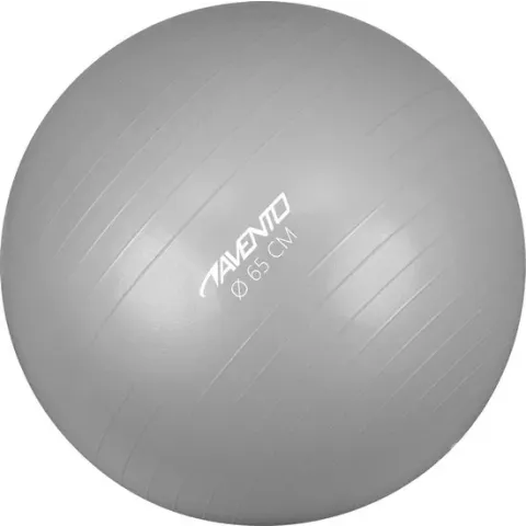 Avento Fitness/Gymbal - Ø 65 cm - Zilver