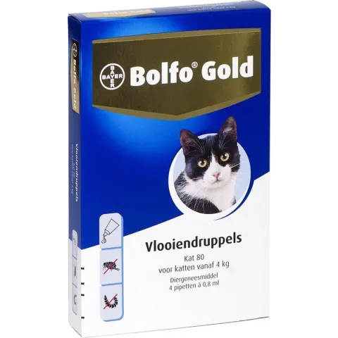 Bayer Bolfo Gold 80 Anti vlooienmiddel - Kat - > 4 kg - 4 pipetten
