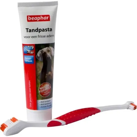 Beaphar Hondentandenborstel En Tandpasta - Combi Pack - 1 St