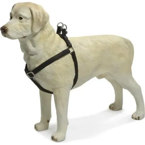 Beeztees - Borsttuig Hond - MacLeather - Zwart - L - 60-100 cm