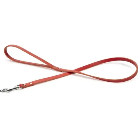 Beeztees Geniet Hondenriem - Rood - 100 cm x 12 mm