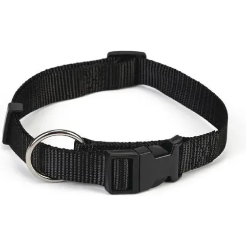 Beeztees - Hondenhalsband  - Zwart - 35-55 cm x 20 mm