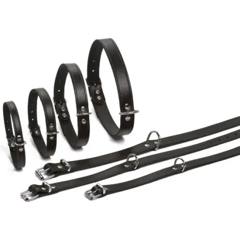 Beeztees - Hondenhalsband - Zwart - 55-65 cm X 25 mm