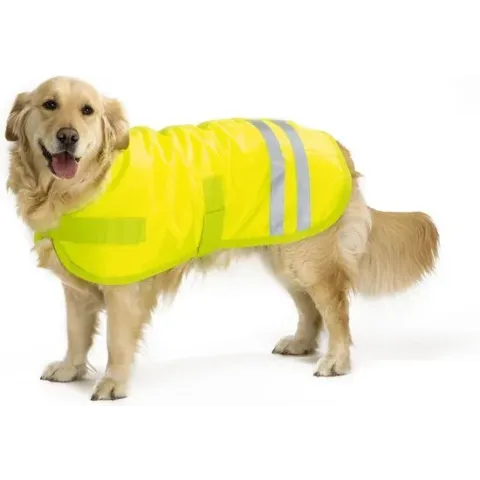 Beeztees Teddie - Hondenjas - Reflecterend - Geel - 60 cm