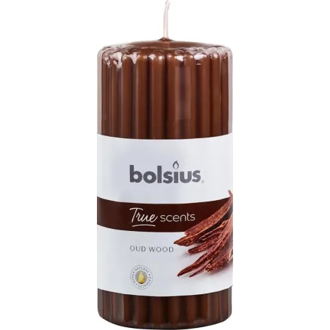 Bolsius Geurkaars True Scents Oud Wood 12 Cm Wax Bruin