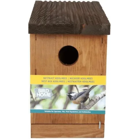 Buzzy Bird Home Koolmees