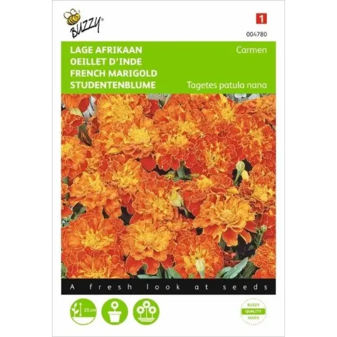 Buzzy Tagetes patula nana Carmen