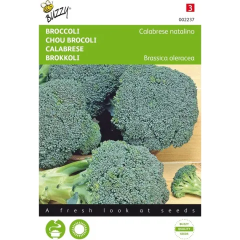 Buzzy zaden - Broccoli Groene Calabria - Brassica oleracea