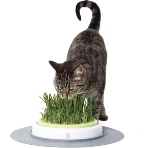 Catit Design Senses Grass Garden Kit - Kattengras - 1