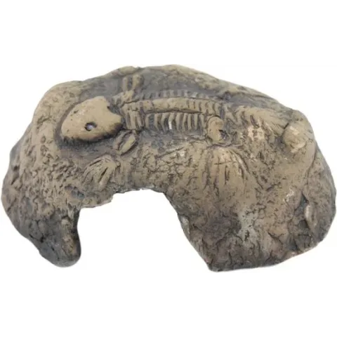 Ceramicnature Terrarium Fossil 12 X 11 Cm Keramiek Bruin