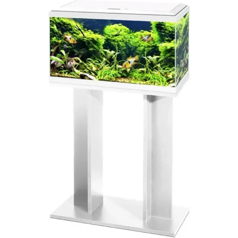 Ciano Aquarium 60 Led Cf80 60x30x41 cm - Aquaria - Wit