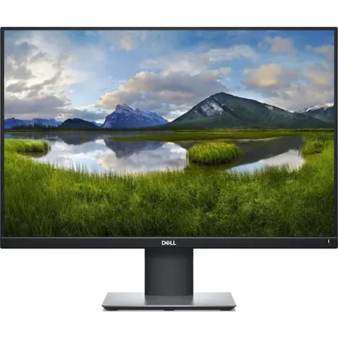 Dell P2421 - WUXGA Monitor - 24 inch