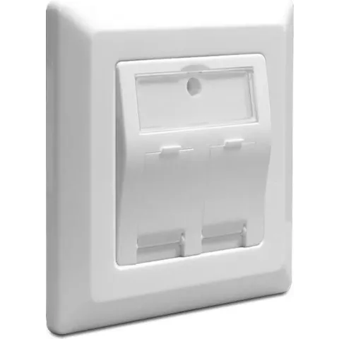 DeLOCK Keystone wandcontactdoos voor 2 uitgangen
