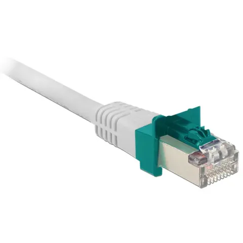 DeLOCK RJ45 Secure Clips 40 stuks