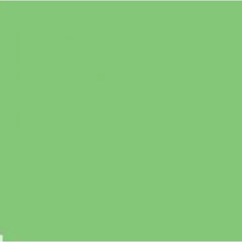 Falcon Eyes Achtergrondpapier 73 Summer Green 1,35x11 m