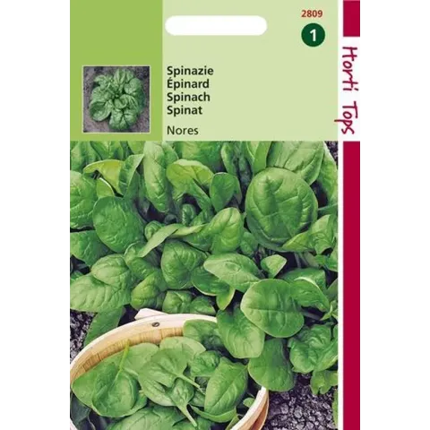 Hortitops Zaden - Spinazie Nores 15 gram
