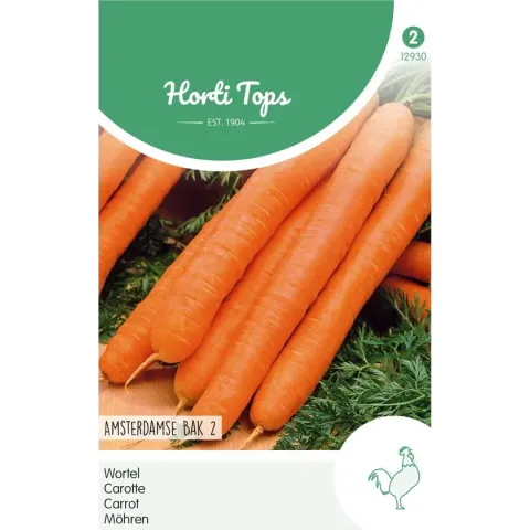 Hortitops Zaden - Wortelen Amsterdamse Bak 2