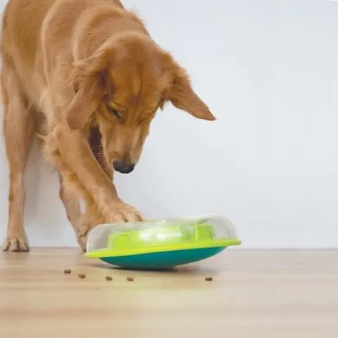 Interactieve hondenpuzzel vulbaar met snacks voor beginnende honden - Outward Hound Wobble Bowl