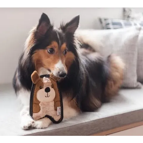 Invincibles Sterke Knuffel voor Kleine Honden