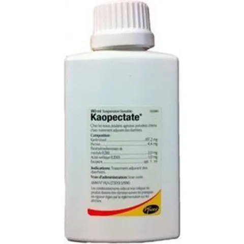 Kaopectate - 480 ml