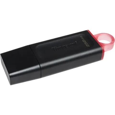 Kingston Technology DataTraveler Exodia USB flash drive 256 GB USB Type-A 3.2 Gen 1 (3.1 Gen 1) Zwart