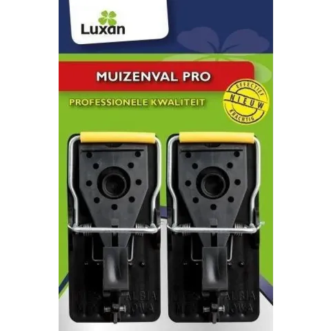 Luxan Muizenval Pro