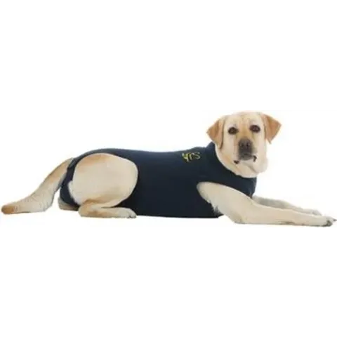 Medical Pet Shirt Hond Blauw M plus