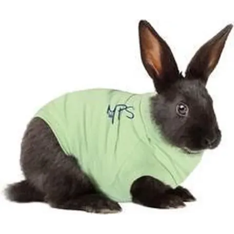 Medical Pet Shirt Konijn - XS