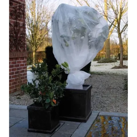Nature winterafdekvlies wit 2 x 10 m 6030118