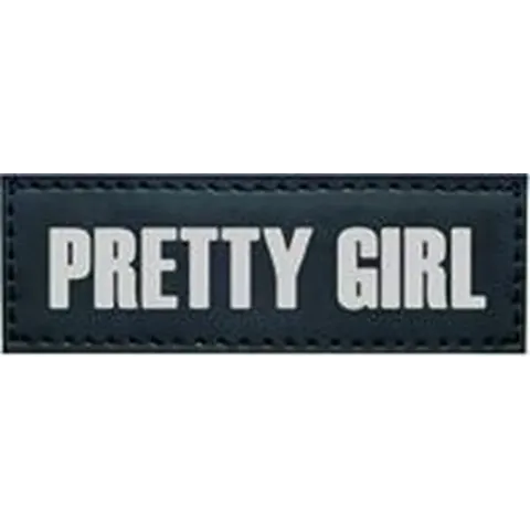 Nobby seguro sticker pretty girl - hond - 3 x 9 cm - 2 stuks
