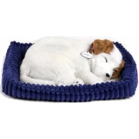 Perfect petzzz Soft jack russell