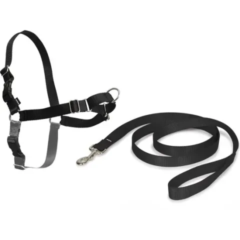 PetSafe Easy Walk® - Hondentuigje - Zwart - L - 66-91 cm