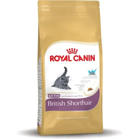 Royal Canin British Shorthair Kitten - Kattenvoer - 400 g