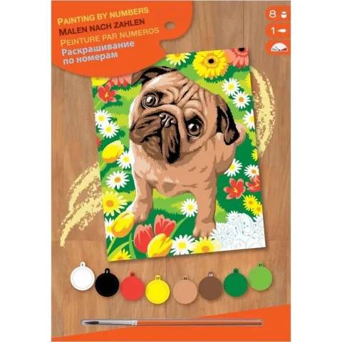 Schilderen Op Nummer Pug
