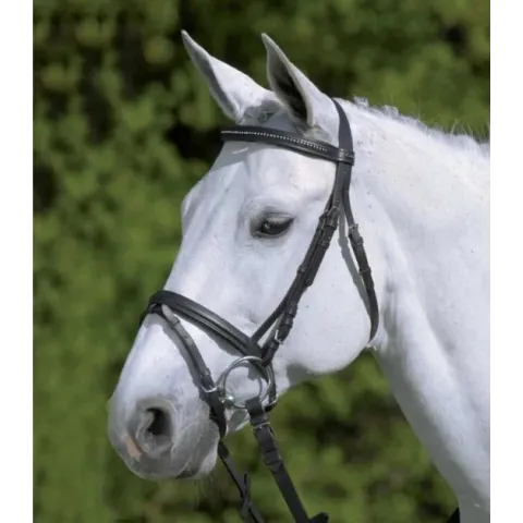 Star Hoofdstel Star Zwart - Rijbenodigdheden - Pony