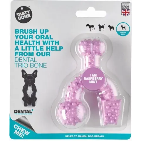Tasty Bone trio bone toy raspberry/mint