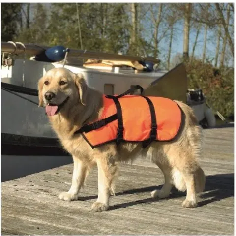 Veiligheidsvest, zwemvest - Maat XS
