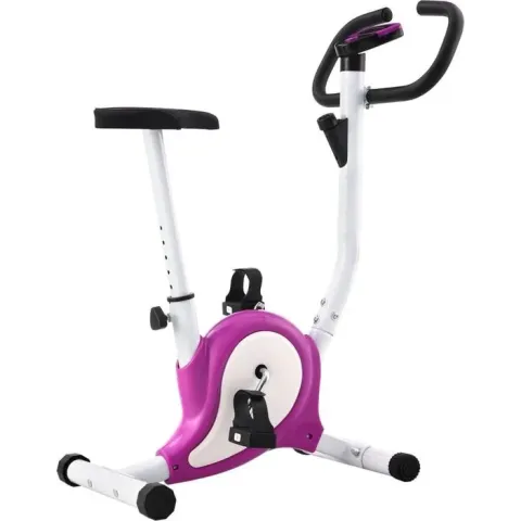 vidaXL Hometrainer met bandweerstand paars