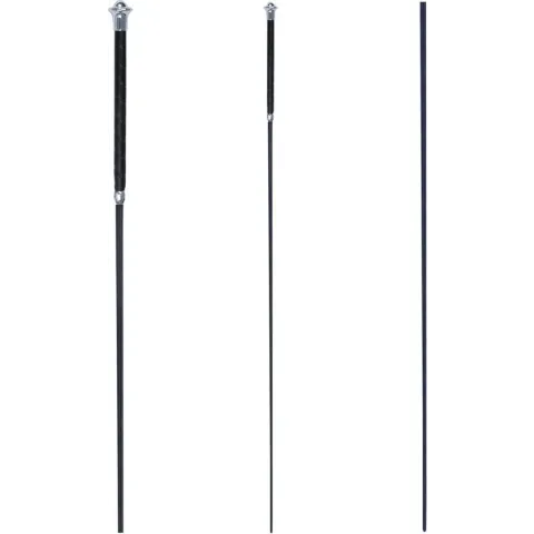 Waldhausen Dressuurzweep Classic Zwart - Rijbenodigdheden - 110 cm