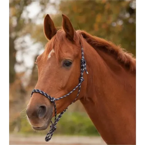 Waldhausen Knoophalster - Zwart/Wit - Paardenhalster - Cob