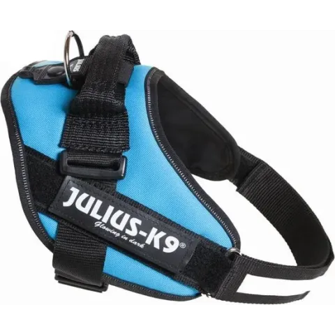 WERELD BEKENDE JULIUS K9 IDC POWERTUIG VOOR TEKSTLABELS AQUAMARINE MAAT: MINI