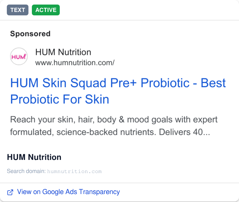 ad example google ad