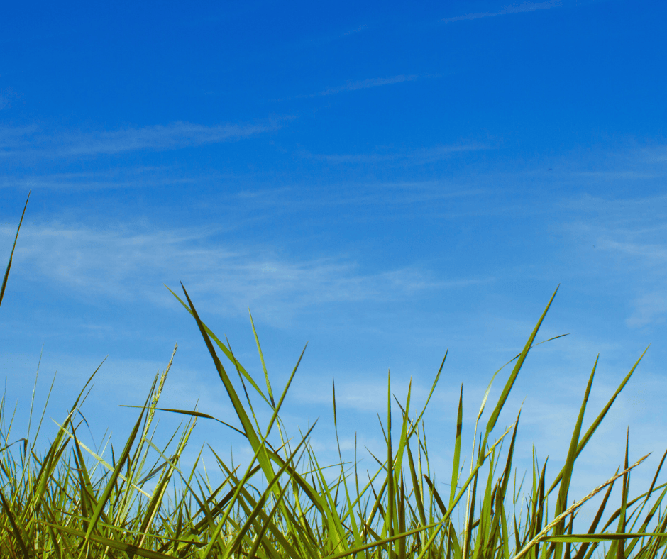 The Real Cost of Ignoring Your Annual AC Maintenance